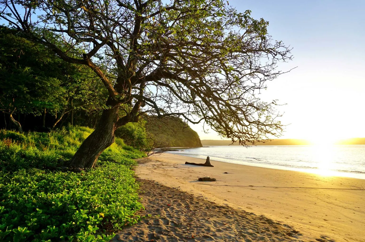 1443 maui honeymoon