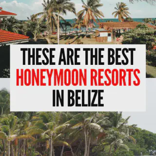 /img/1445-belize-romantic-dinner.webp