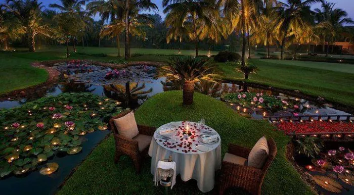 1449 paris honeymoon