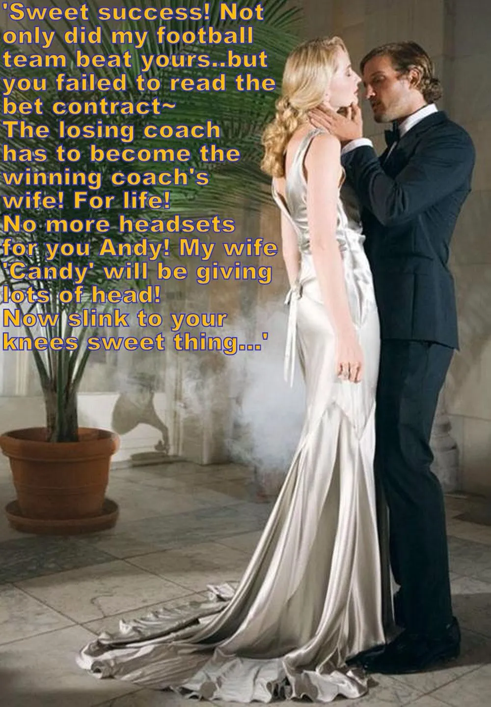 /img/1489-femdom-honeymoon-journal.webp