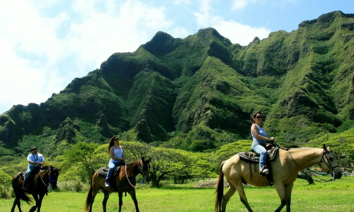 1491 maui honeymoon