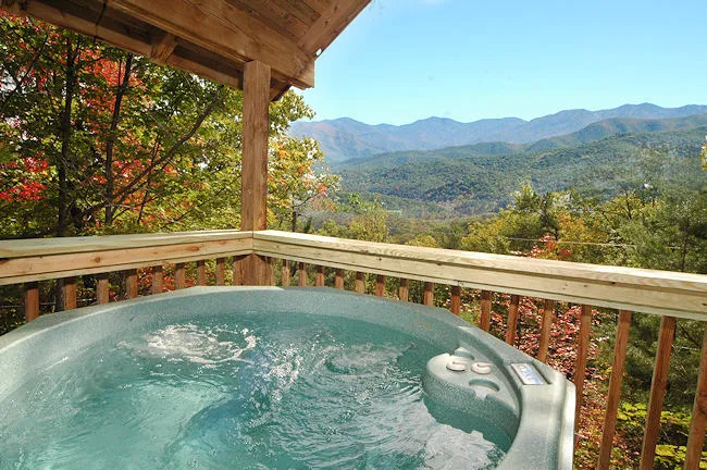 1532 cabin mountain view