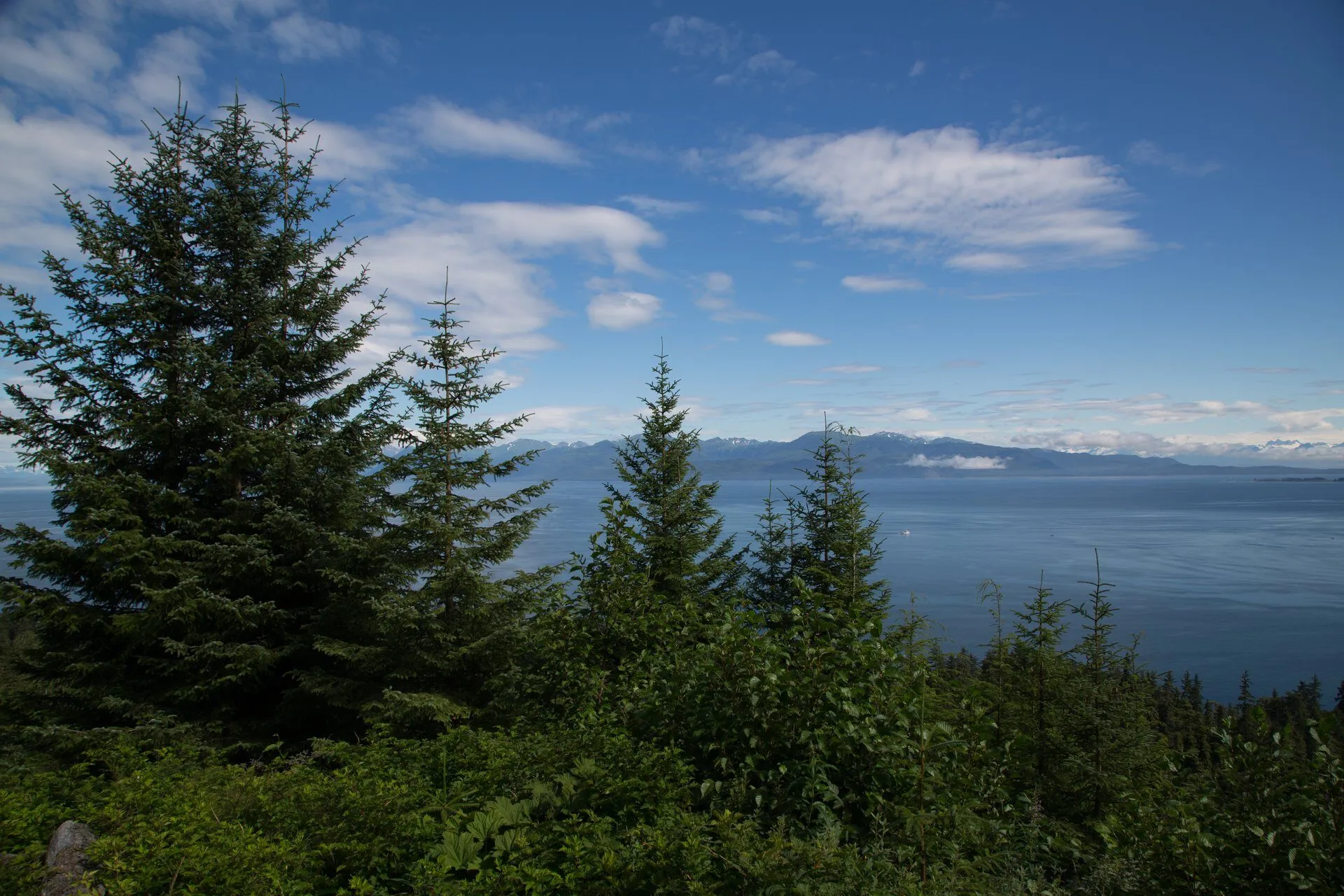 1547 alaska honeymoon cruise kayaking