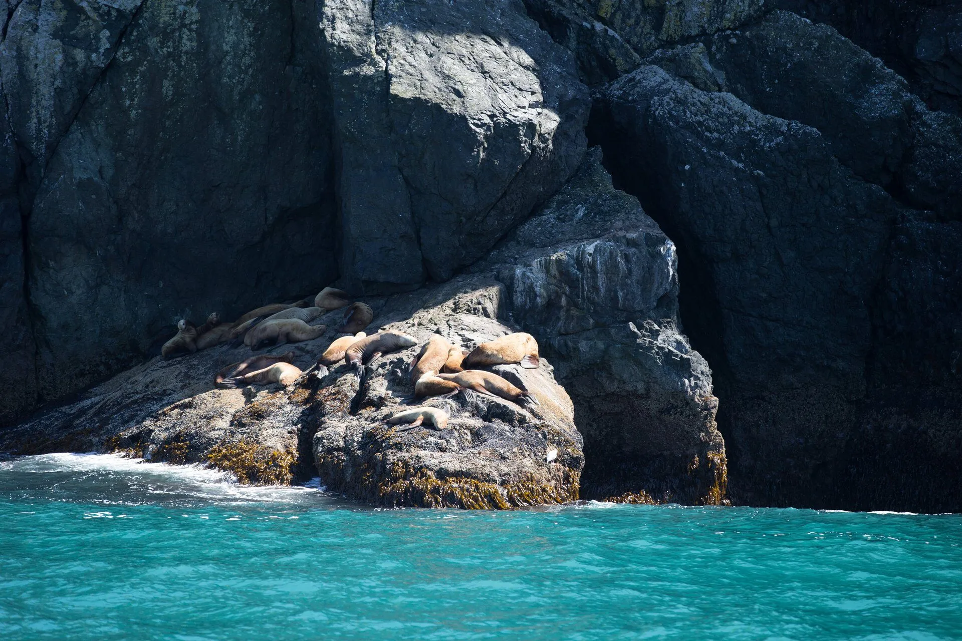 /img/1547-alaska-honeymoon-cruise-stateroom-view.webp