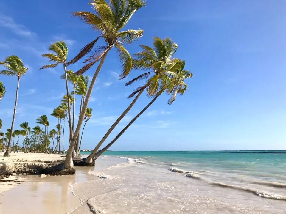 1555 honeymoon activities