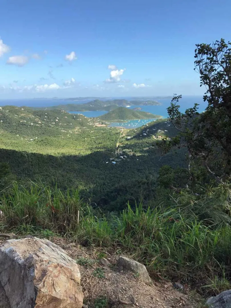 1555 st lucia honeymoon