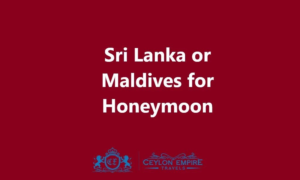 1582 maldives watersports