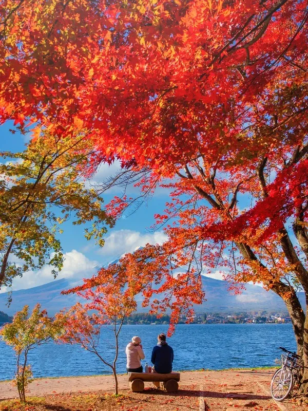 /img/1616-anime-honeymoon-japan.webp