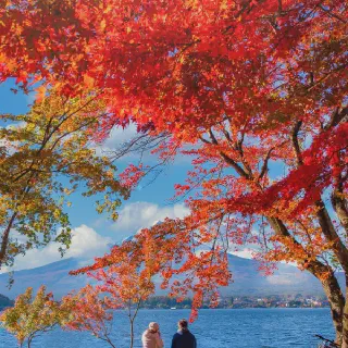 /img/1616-anime-honeymoon-japan.webp