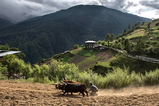 1641 bhutan transportation