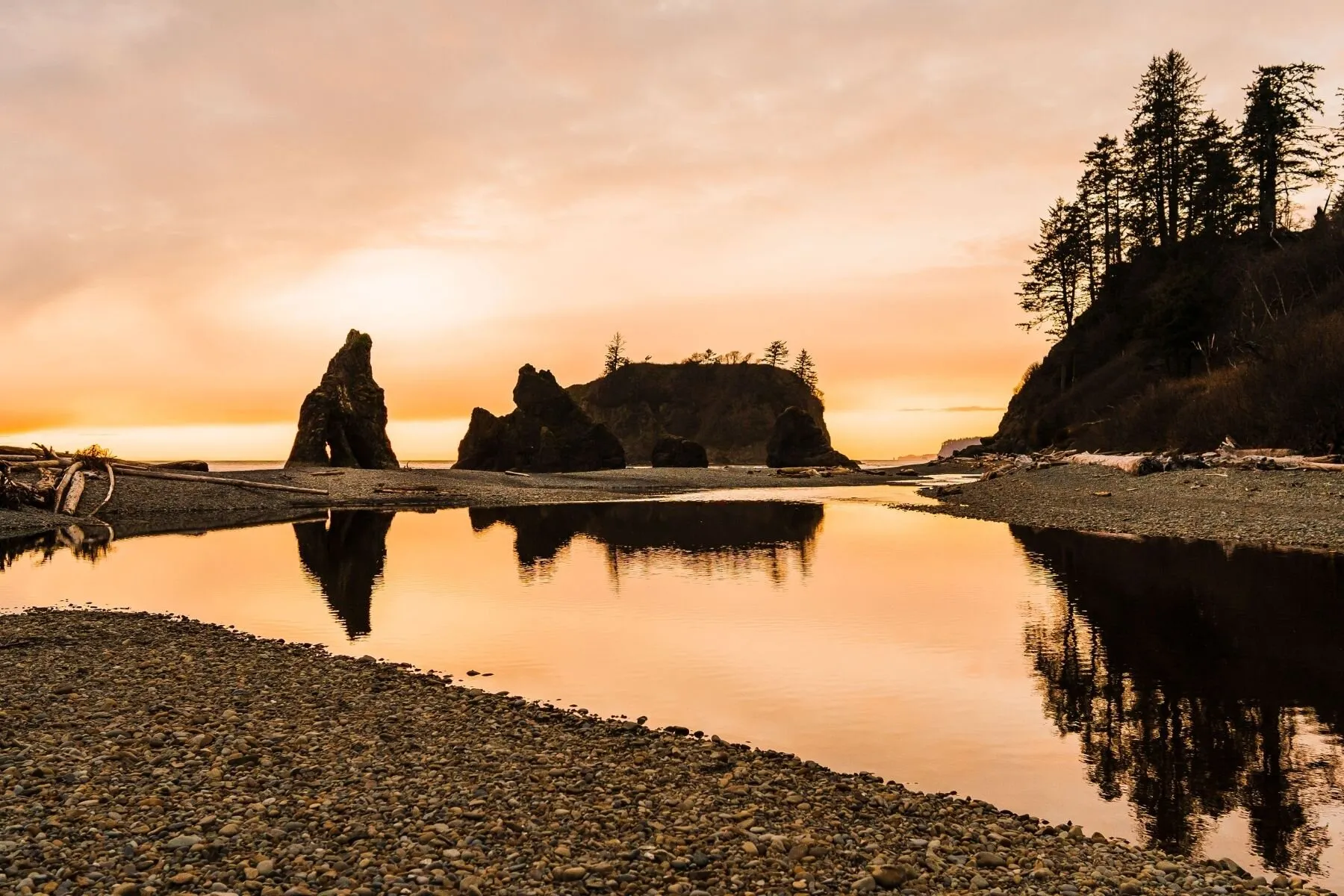 1651 bainbridge island honeymoon
