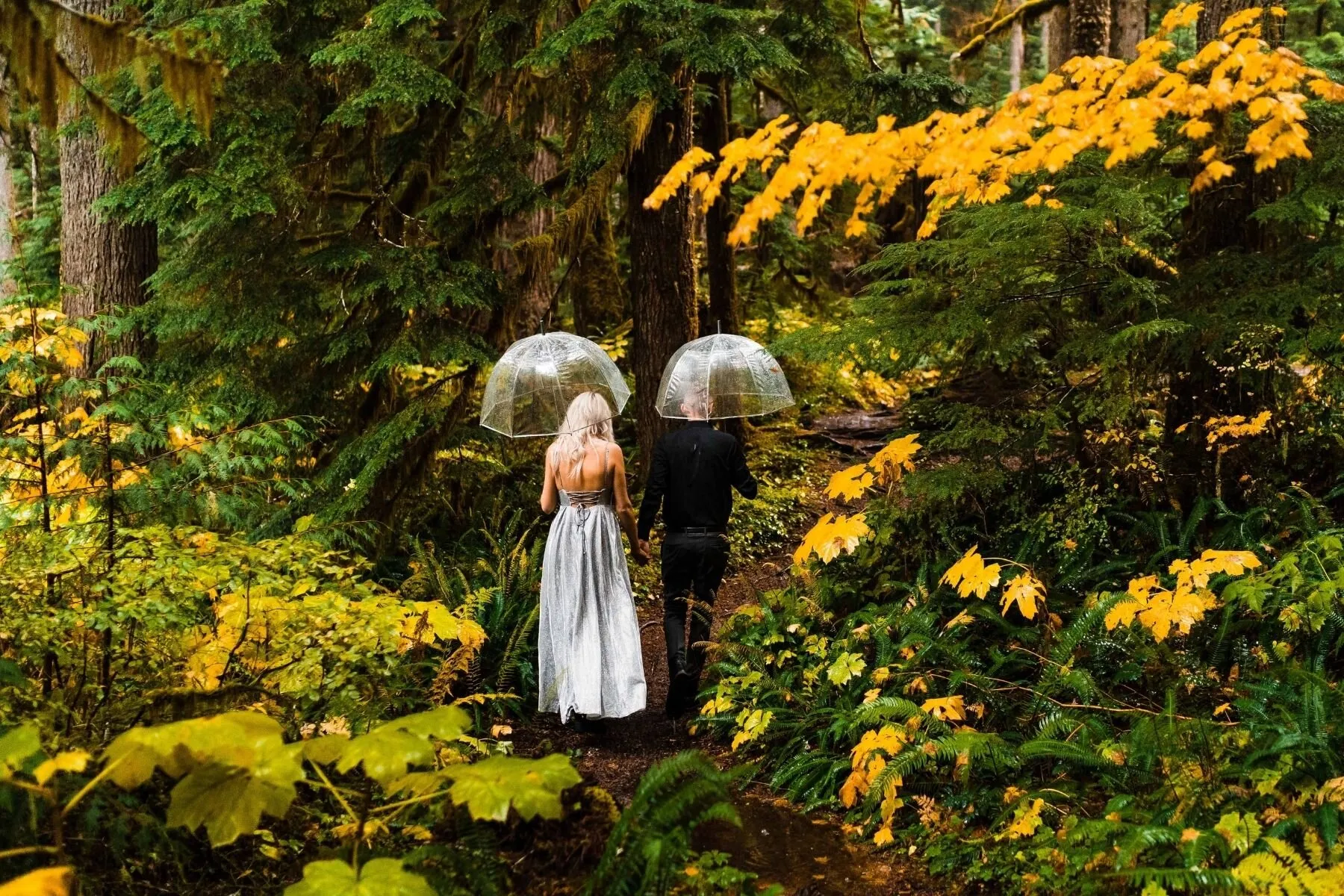 1651 seattle honeymoon