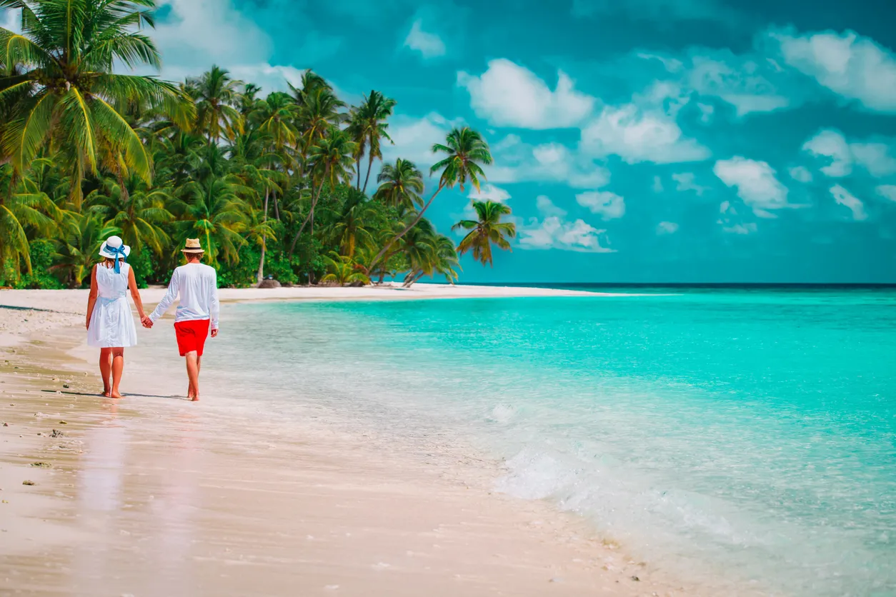 /img/1658-goa-honeymoon-beach.webp