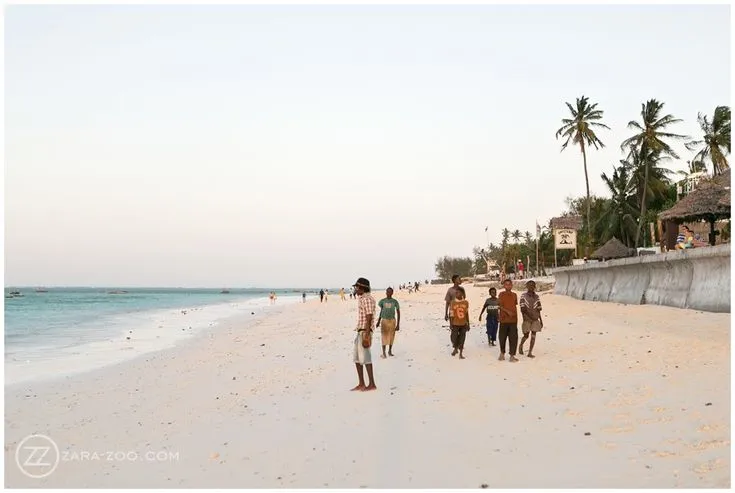 1682 zanzibar spice farm