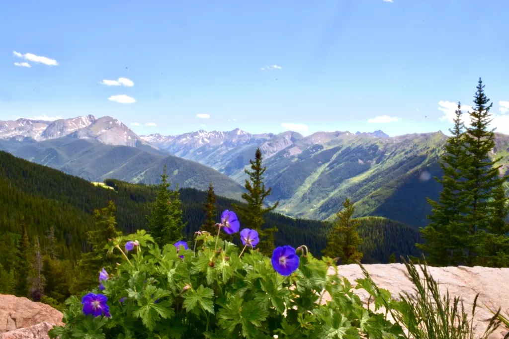 /img/1701-aspen-honeymoon-picnic.webp