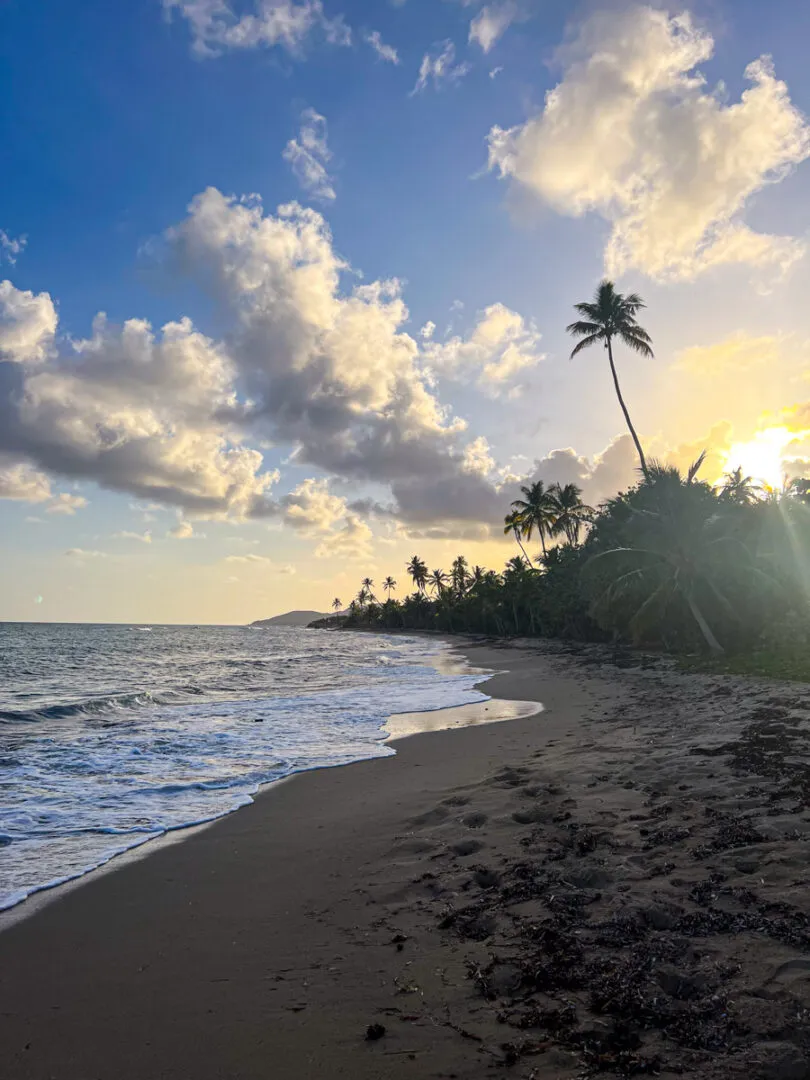 1714 vieques bioluminescent bay