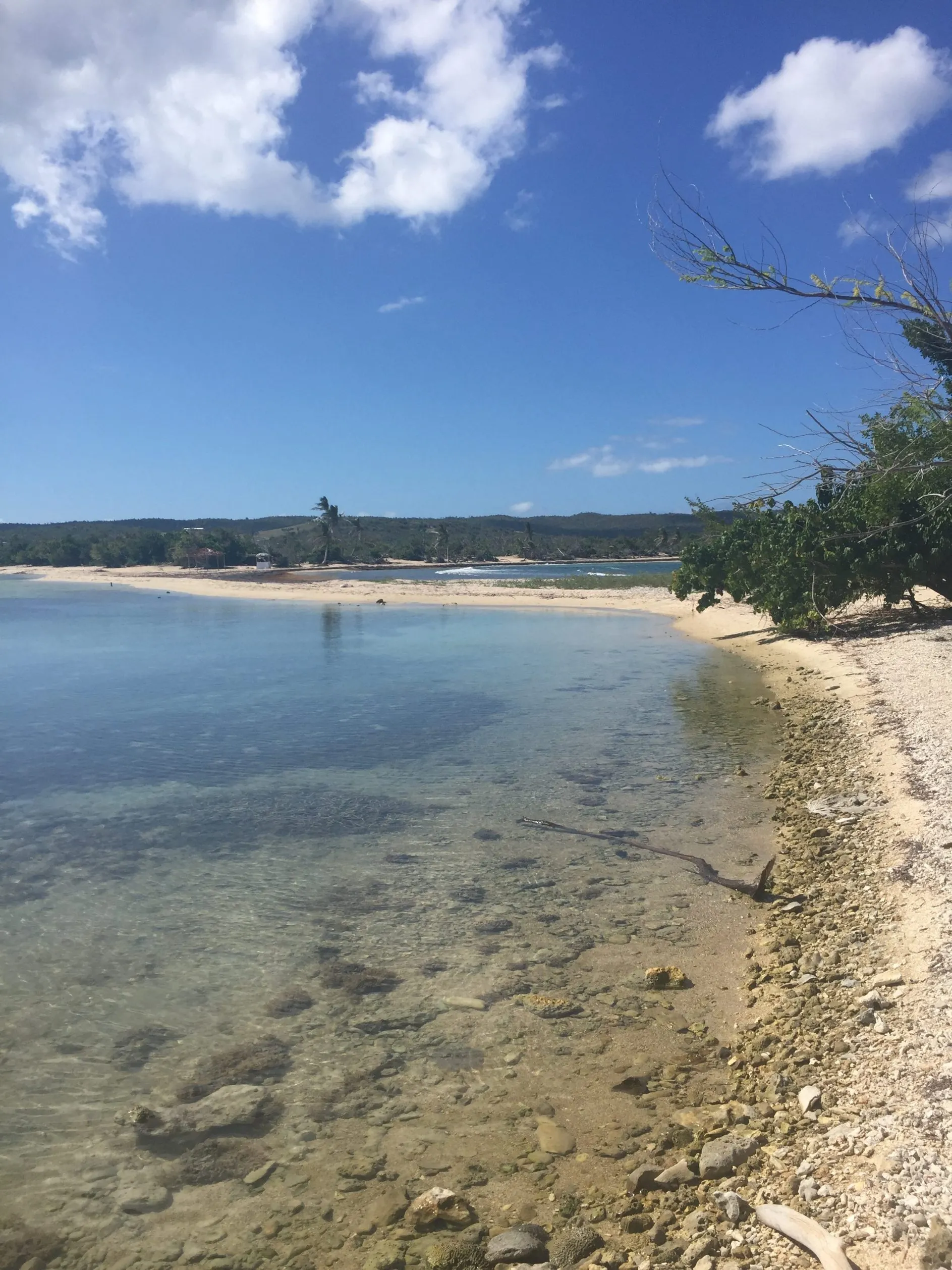 1714 vieques horseback riding