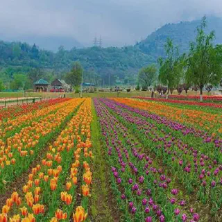/img/1758-couple-traveling-pune.webp