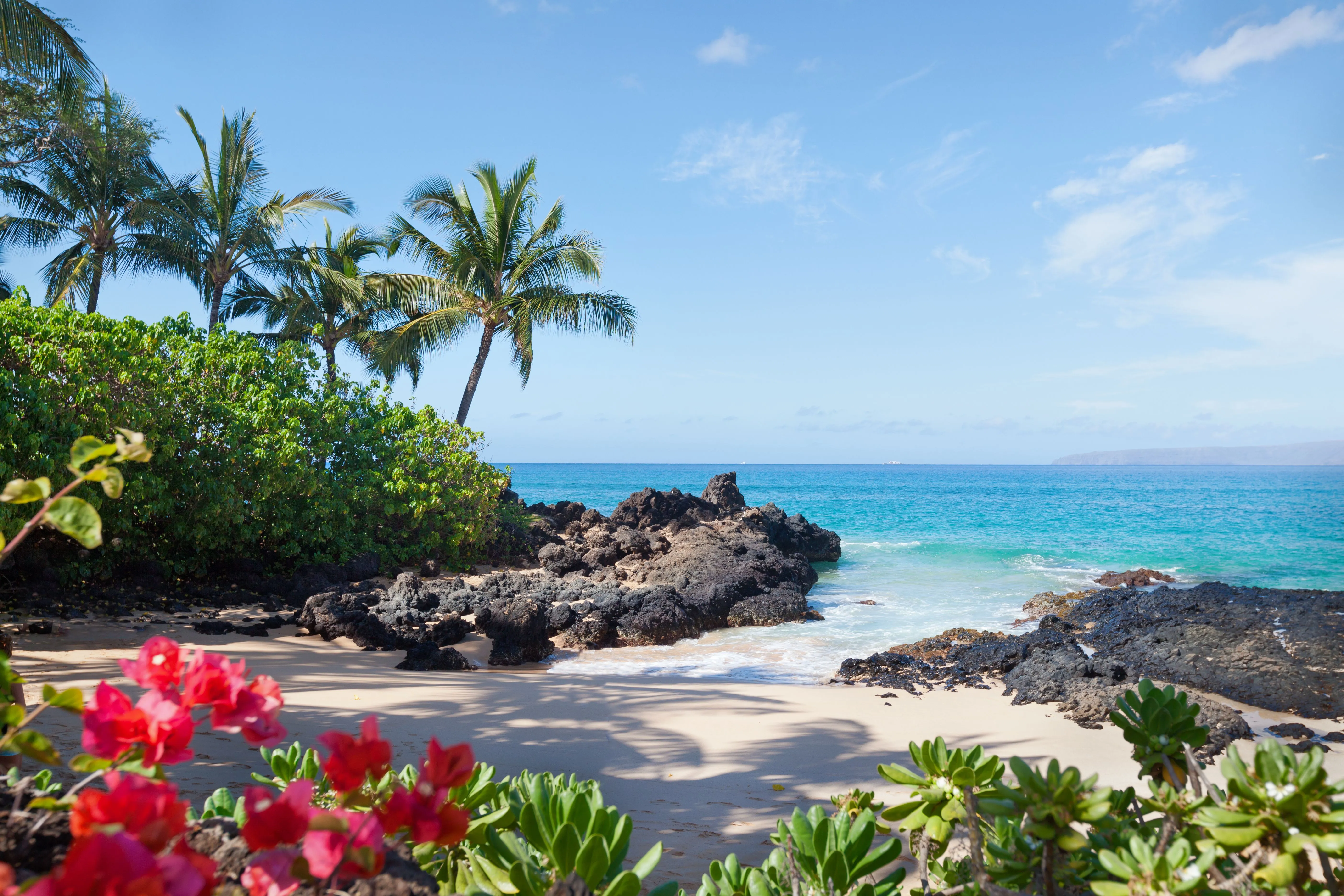 /img/1786-costa-rica-beach.webp
