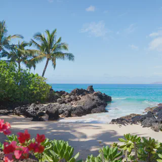 /img/1786-costa-rica-beach.webp