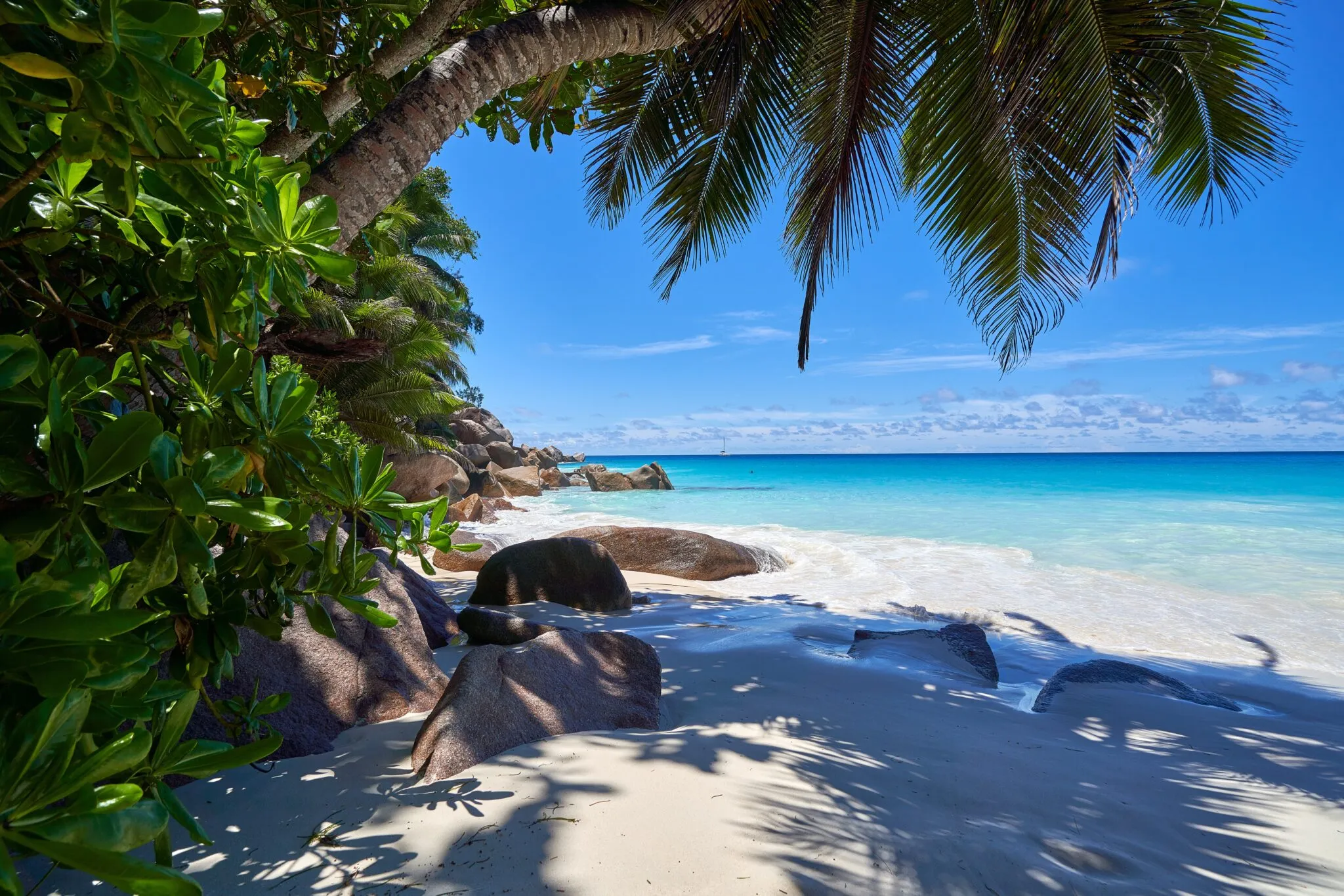 /img/1792-seychelles-honeymoon.webp