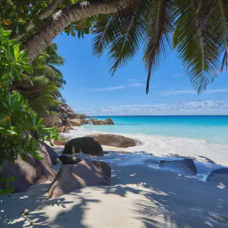 /img/1792-seychelles-honeymoon.webp