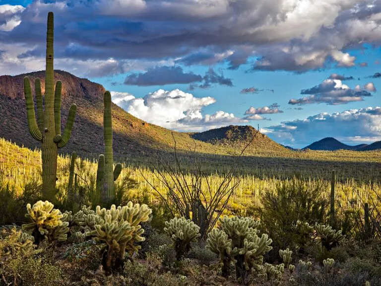 1841 arizona bed breakfast