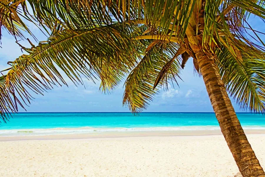 /img/1914-lakshadweep-overwater-bungalows.webp