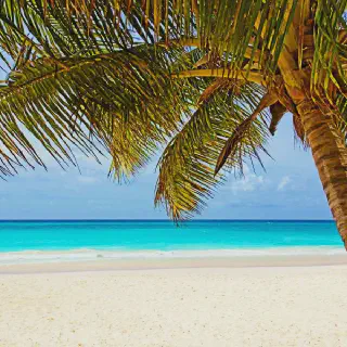 /img/1914-lakshadweep-overwater-bungalows.webp