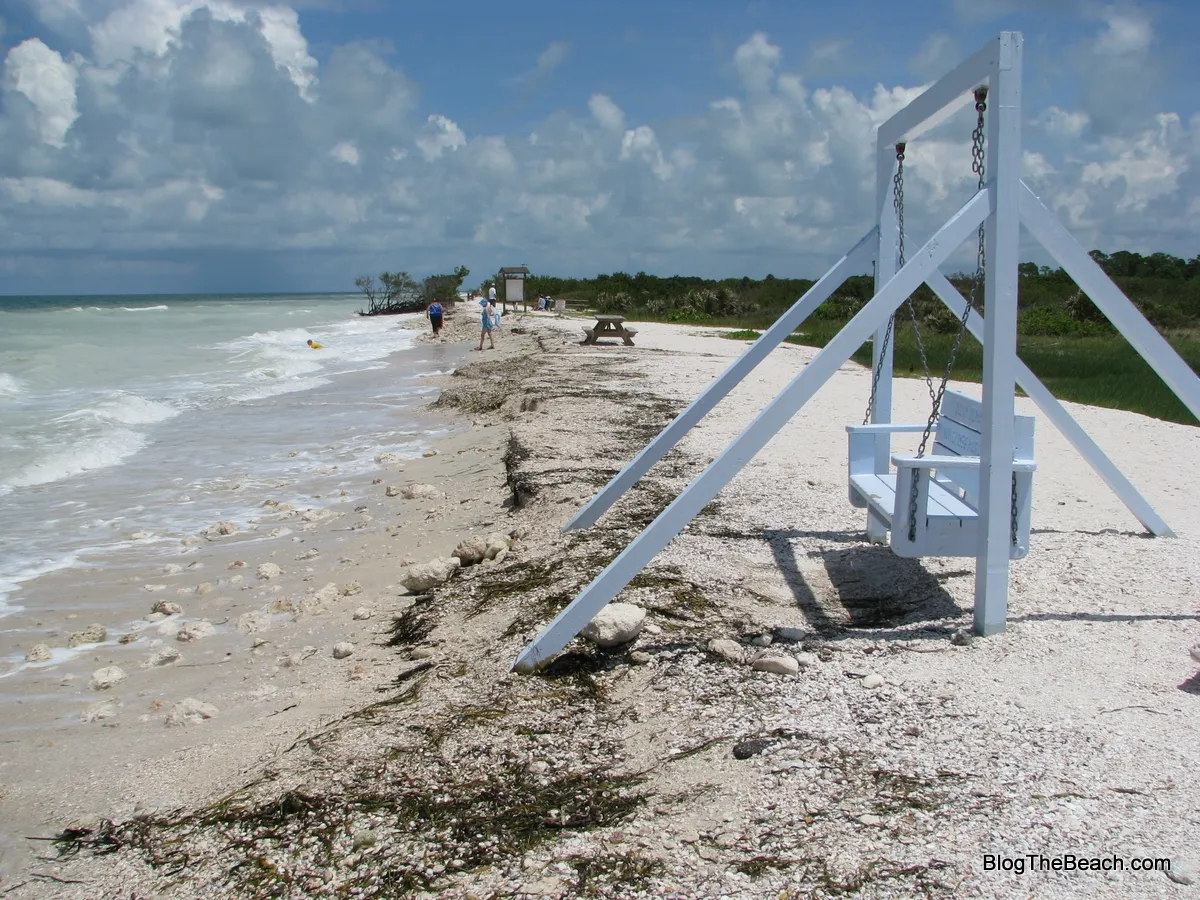 1916 honeymoon island oasis beach dinner