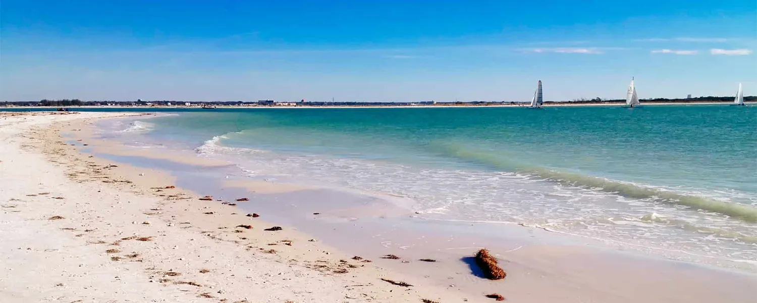 /img/1916-honeymoon-island-oasis-beach-packing.webp